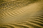 desert, wen lu, gold
