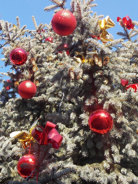 Free Christmas Tree December photo and picture