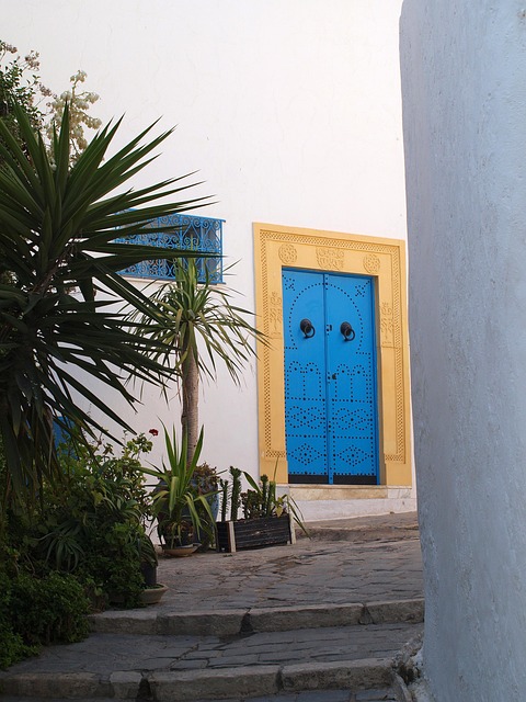 Free Door Tunis photo and picture