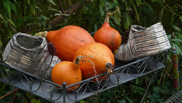 Herbst, Halloween, Kürbis