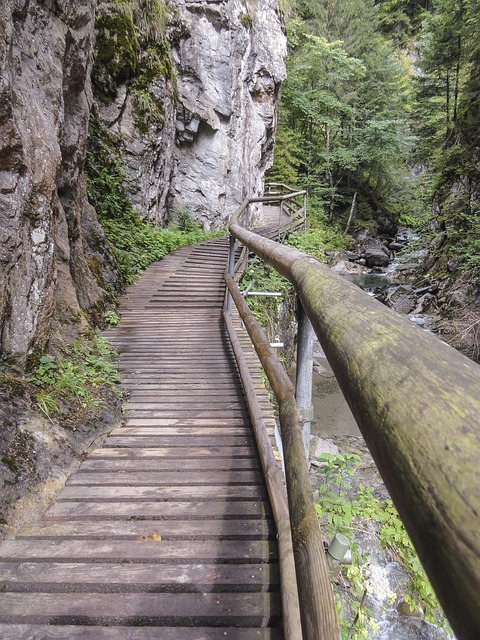 Free Bridge Wood photo and picture
