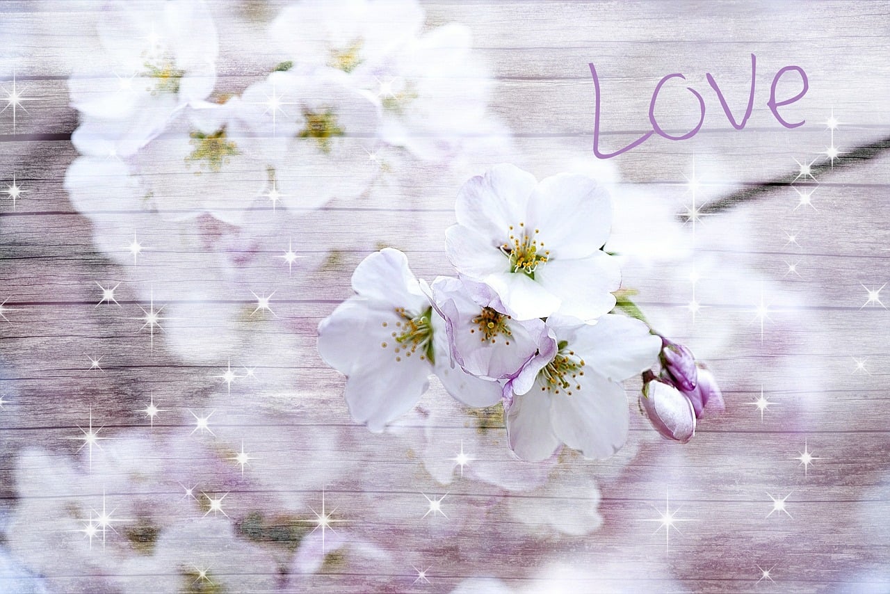 Download Cherry Blossom, Wood, Love. RoyaltyFree Stock Illustration