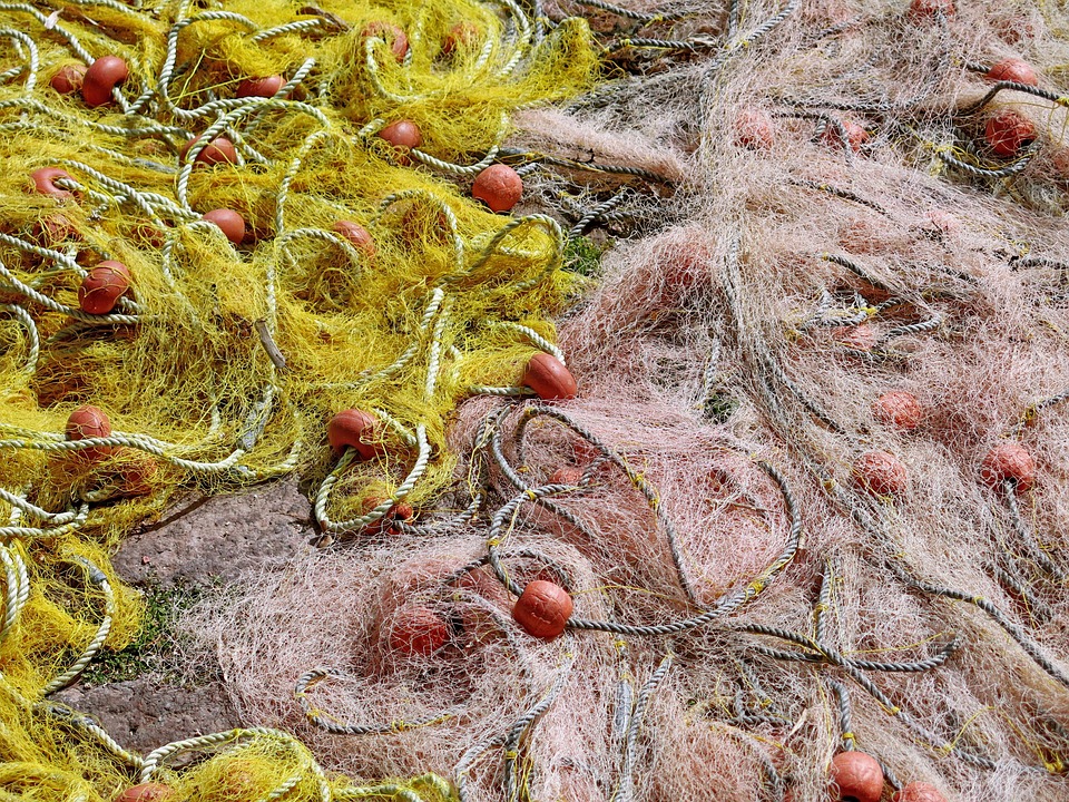 The Art of Inshore Trolling: Unveiling the Secrets to Success