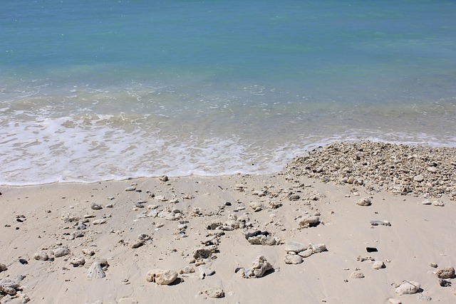 Free Ocean Waves photo and picture