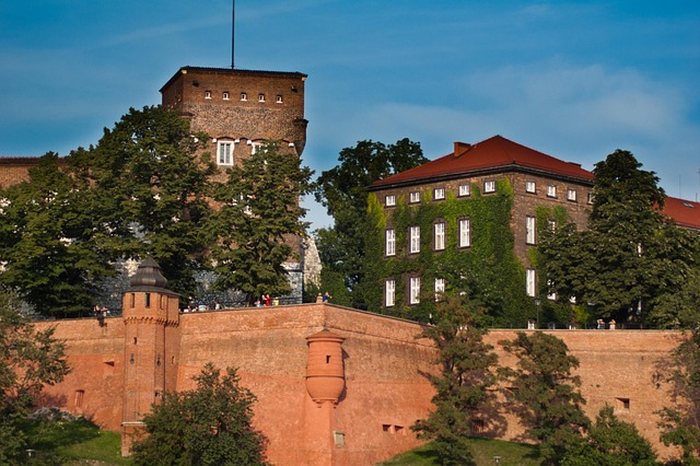 Free Kraków Wawel photo and picture