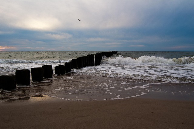 Free Beach Sea photo and picture