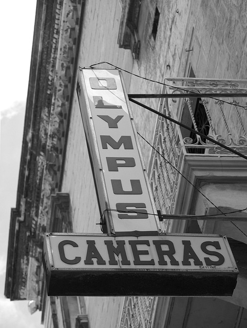 Free Olympus Logo photo and picture