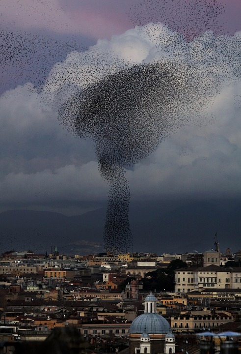Tornado Rom Tornado Rom