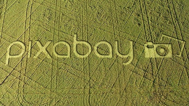 Free Pixabay Field illustration and picture
