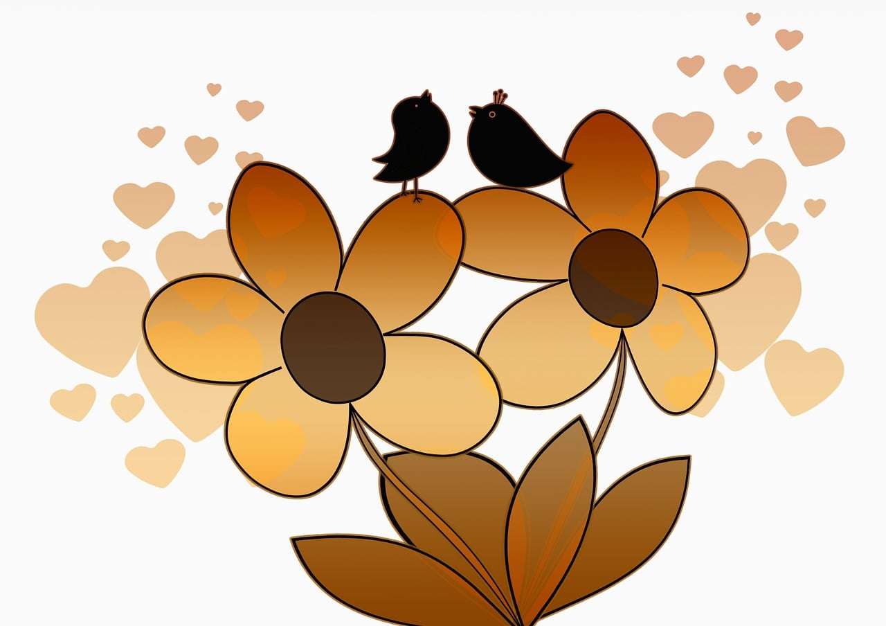 1,000+ Free Plain & Plain Background Images - Pixabay