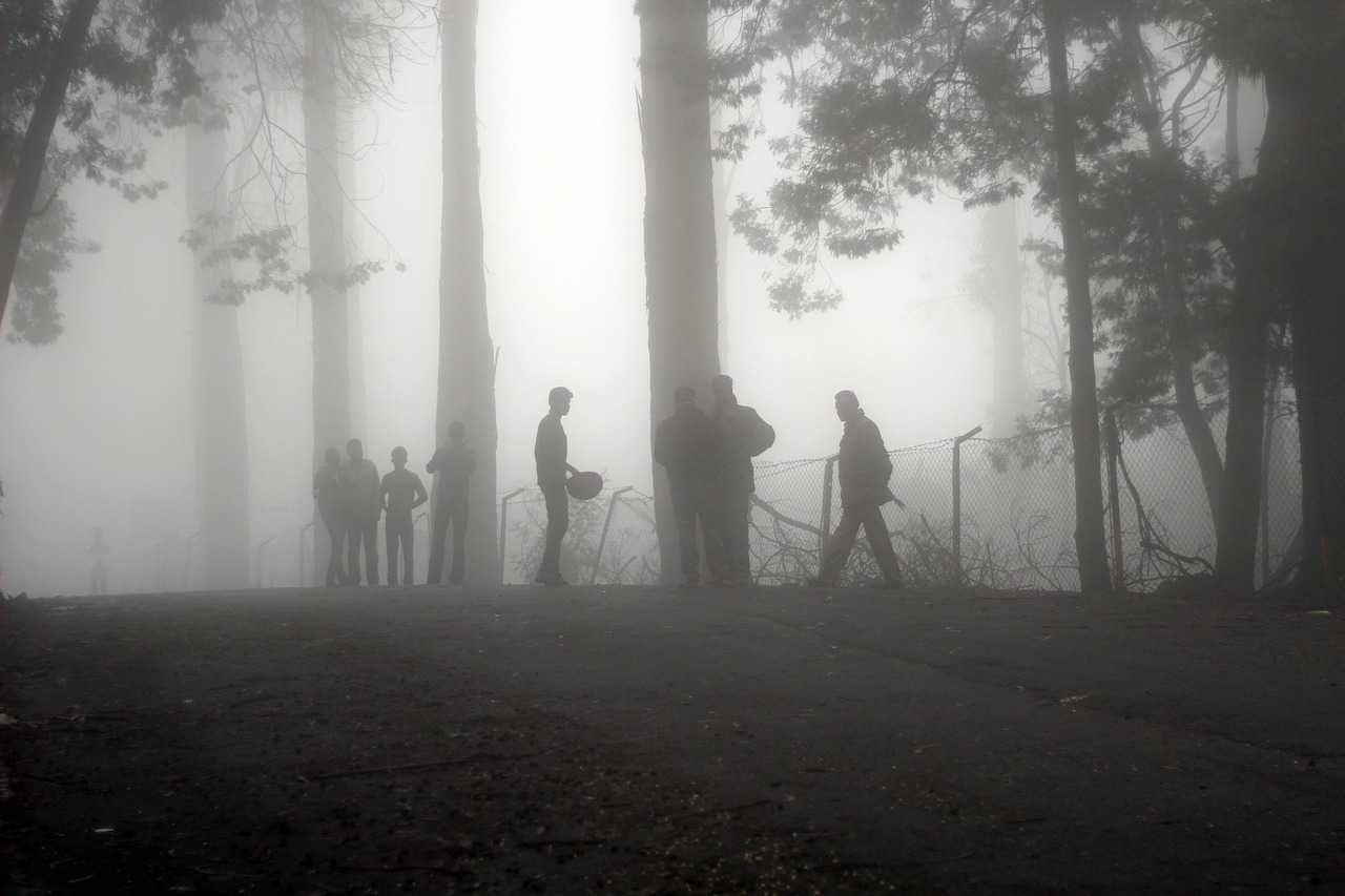 Fog - free online jigsaw puzzle photo