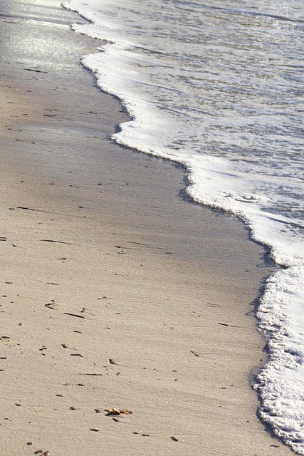 Free Beach Sea photo and picture