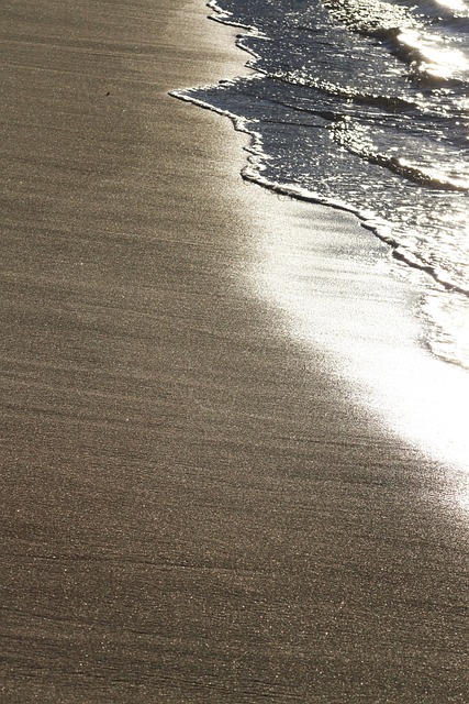 Free Beach Sea photo and picture