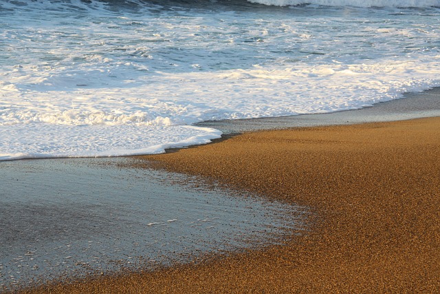 Free Beach Nature photo and picture