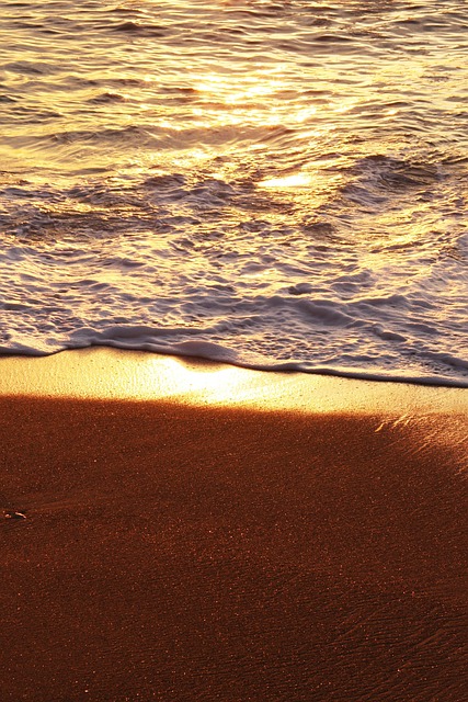 Free Sea Beach photo and picture