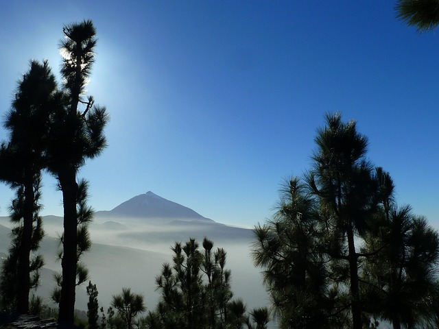 Free Tenerife Canary Islands photo and picture