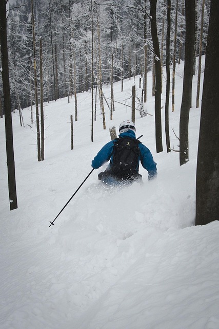 Free Freeride Skis photo and picture