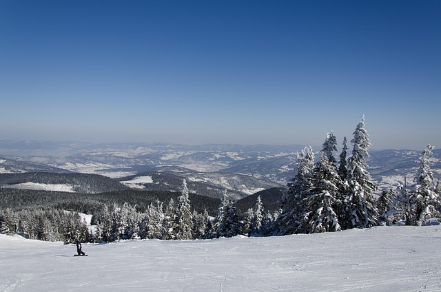 Free Winter Stok photo and picture