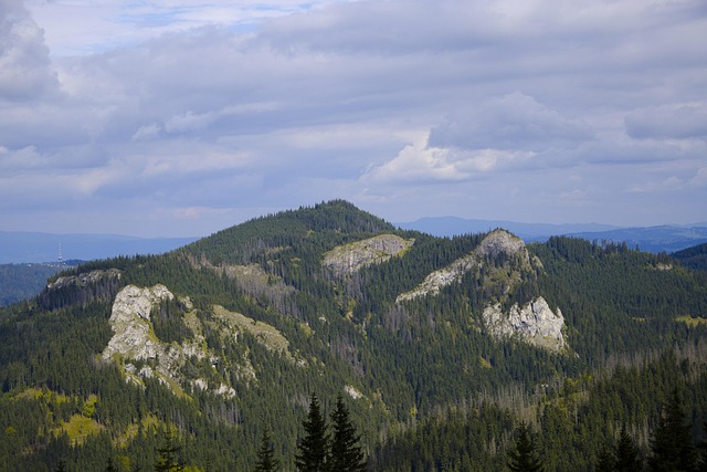 Free Mountains Tatry photo and picture