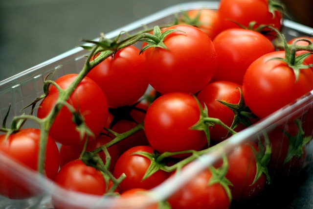 Tomaten, Tomate, Ranke, Rot, Gesund