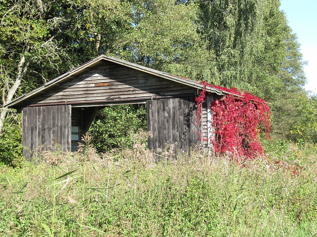 Free Barn Fall photo and picture