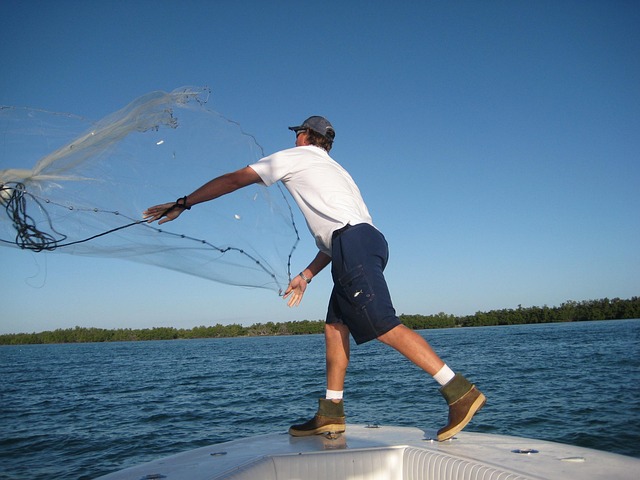 Free Bait Key West photo and picture