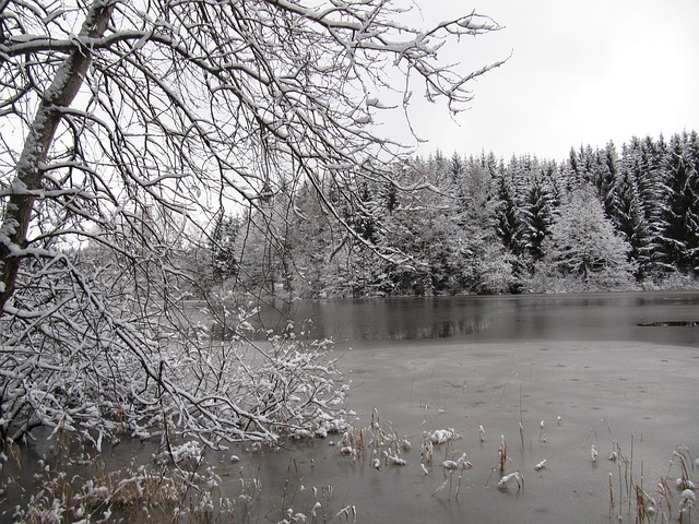 Free Winter Lake photo and picture