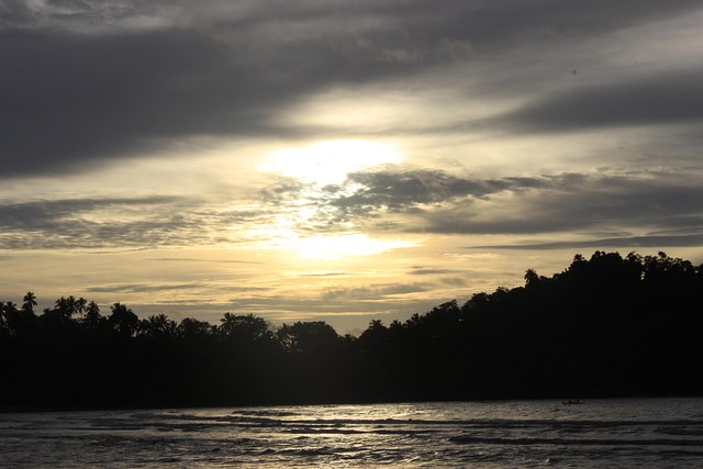 Free Beach Nature photo and picture