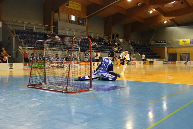 Free Floorball Sport photo and picture