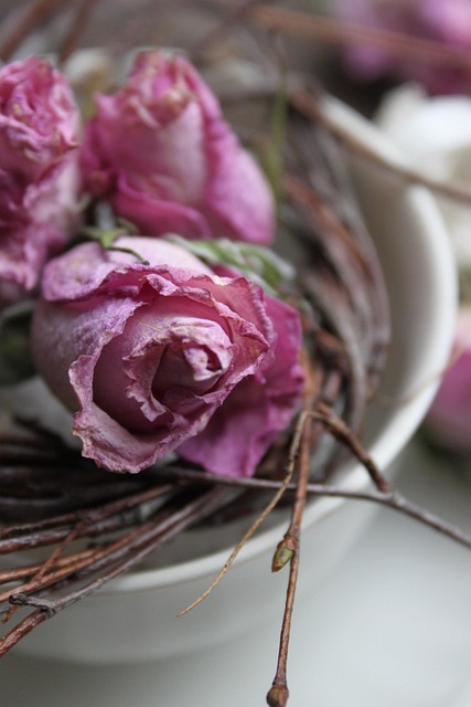 Rosa Rosen, Dekoration, Getrocknet