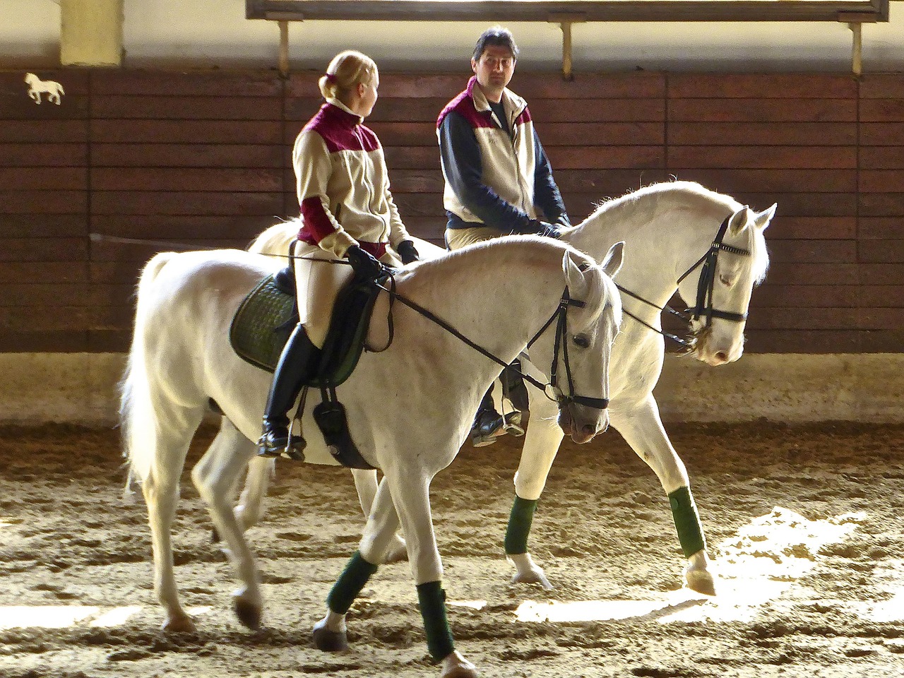 Les Chevaux Paire Équestre - Photo gratuite sur Pixabay - Pixabay