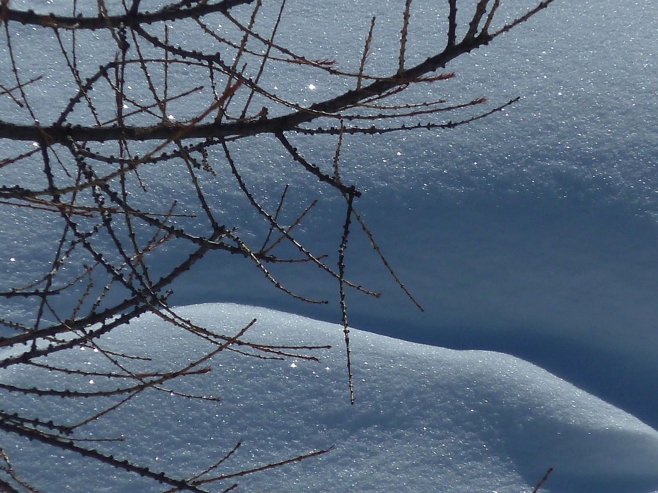 Snow Crystal White - Free photo on Pixabay - Pixabay
