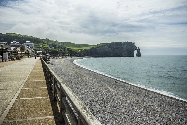 Free France Normandy photo and picture
