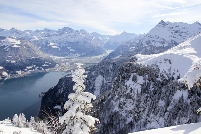 Lago De Lucerna, Lago, Suiza, Montañas