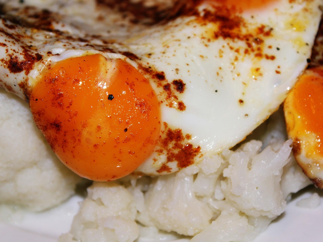Egg Yolk Fried Free photo on Pixabay Pixabay