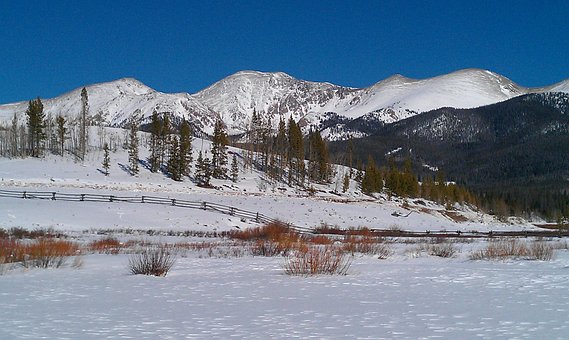 雪, 下雪的, 冬天, 十二月, 白色的, 寒冷的, 户外的, 假期, 天
