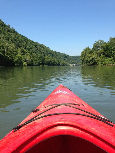 kayak, kayaking, water sport