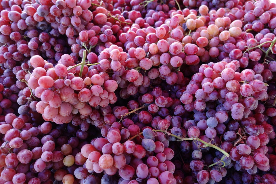 Grapes Food Healthy Free photo on Pixabay Pixabay