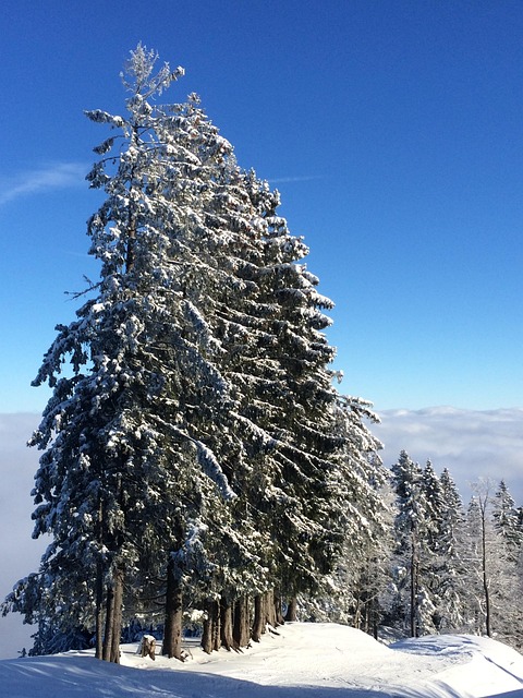 Free Winter Mountain photo and picture