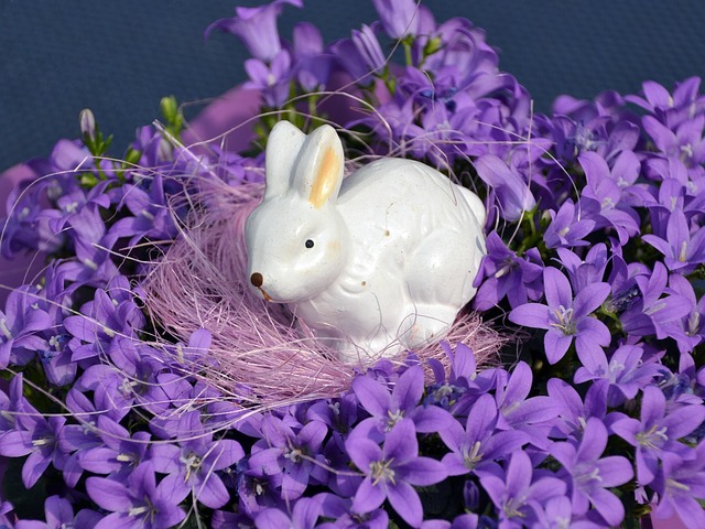 Free Easter Rabbit photo and picture
