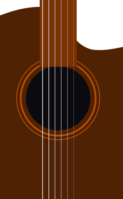 Free guitar body soundbox vector