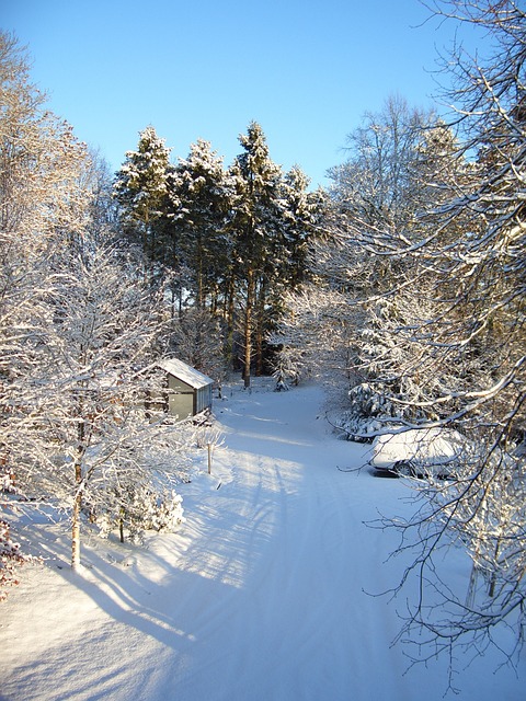 Schnee, Winter, Weiß, Kalt, Jahreszeit