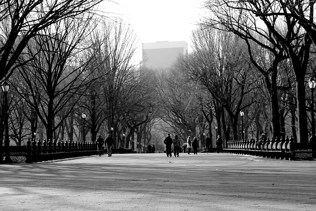 Free Park Manhattan photo and picture