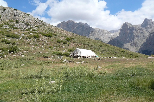 Free Camp Nature photo and picture
