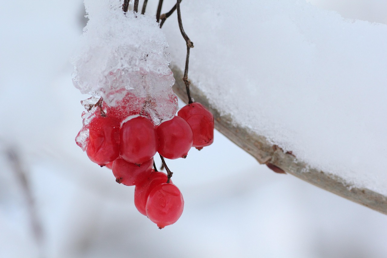 超过 200000 张关于“水结冰”和“水”的免费图片 - Pixabay