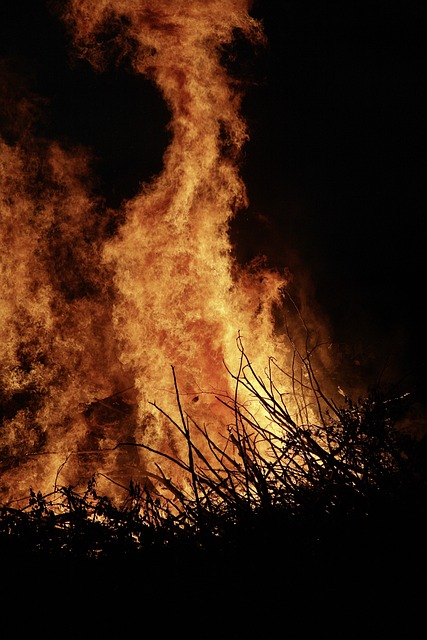 Free Fire Flames photo and picture