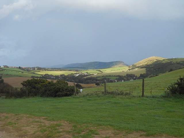 Free England Dorset photo and picture