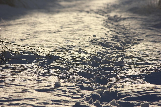 Sti, Natur, Vinter, Sne, Landskab