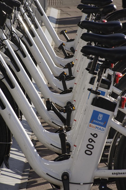 Free Bike Transport photo and picture