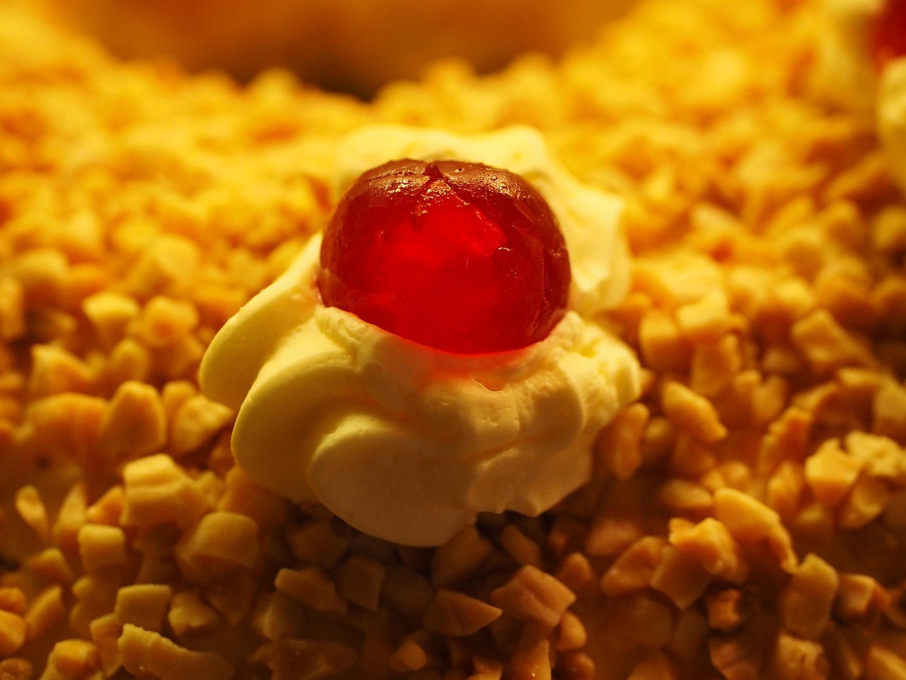 Download free HD stock image of Cherry Cocktail Cherry Free Cherry Cocktail Cherry photo and picture